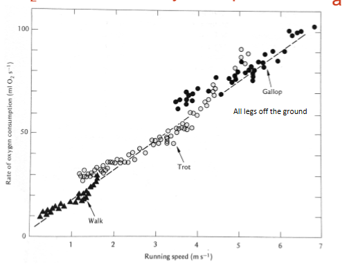 <p>VO2 increases linearly with speed </p>