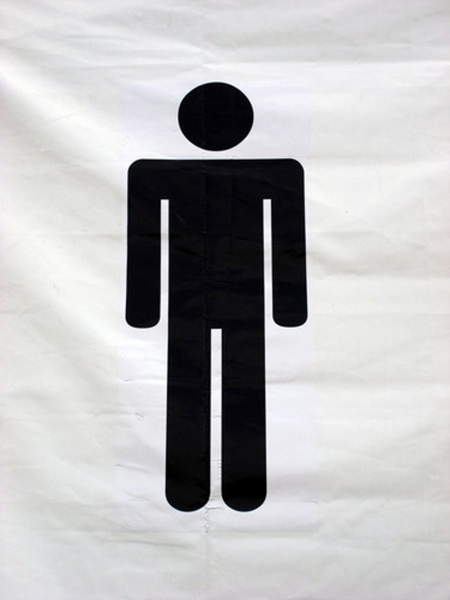 <p>the man</p>