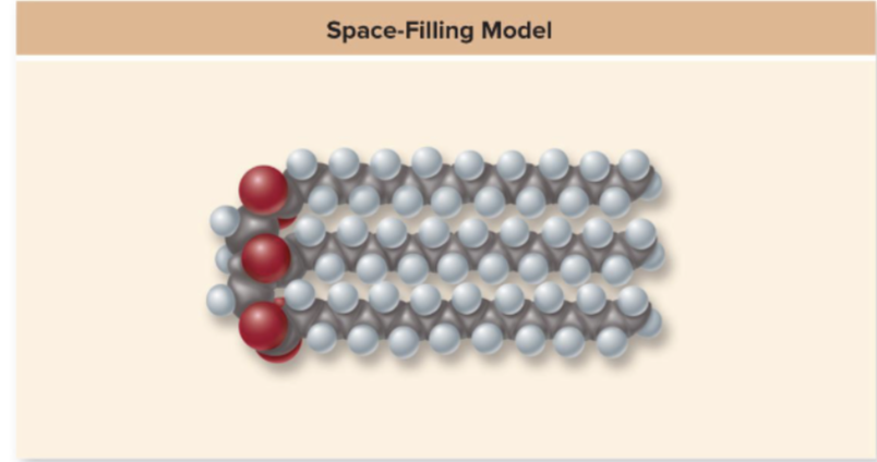 <p>Is this a saturated or unsaturated filling model?</p>