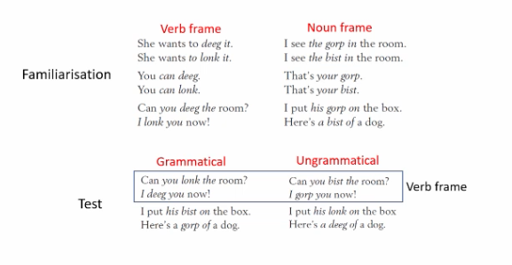 <p>Infants can infer syntactic categories after only a few examples. 
Head turn procedure on 12 month olds. 
Use the correct verb vs a noun instead and see which one they look at longer</p>