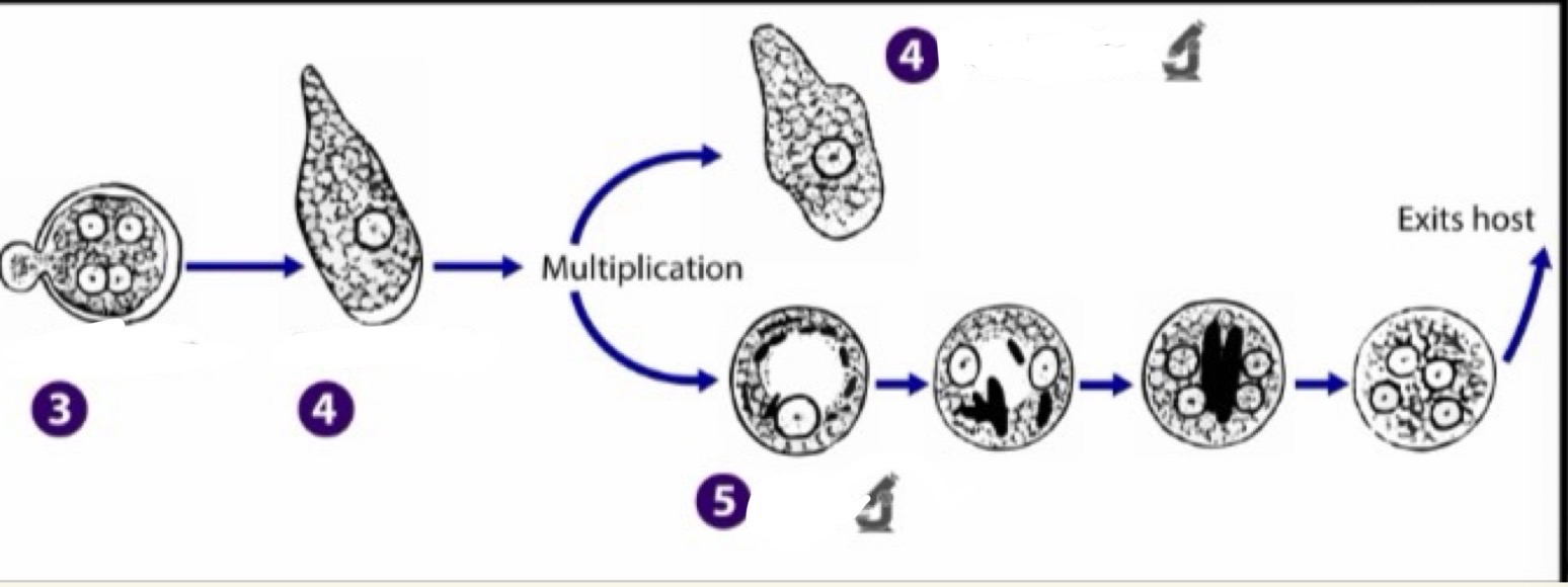 <p>What is this?</p>
