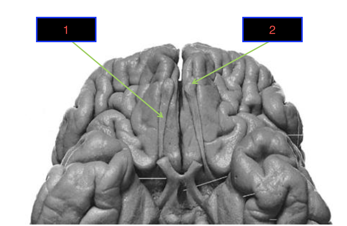 <p>2</p>