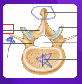 <p>what landmark is circled?</p>