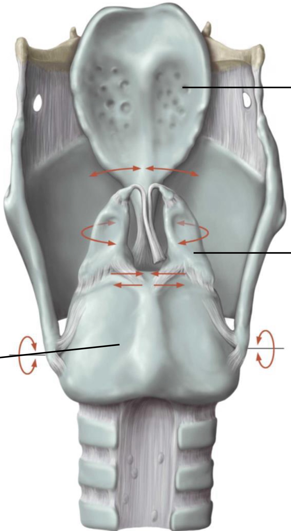 <p>Fill in the blank</p>