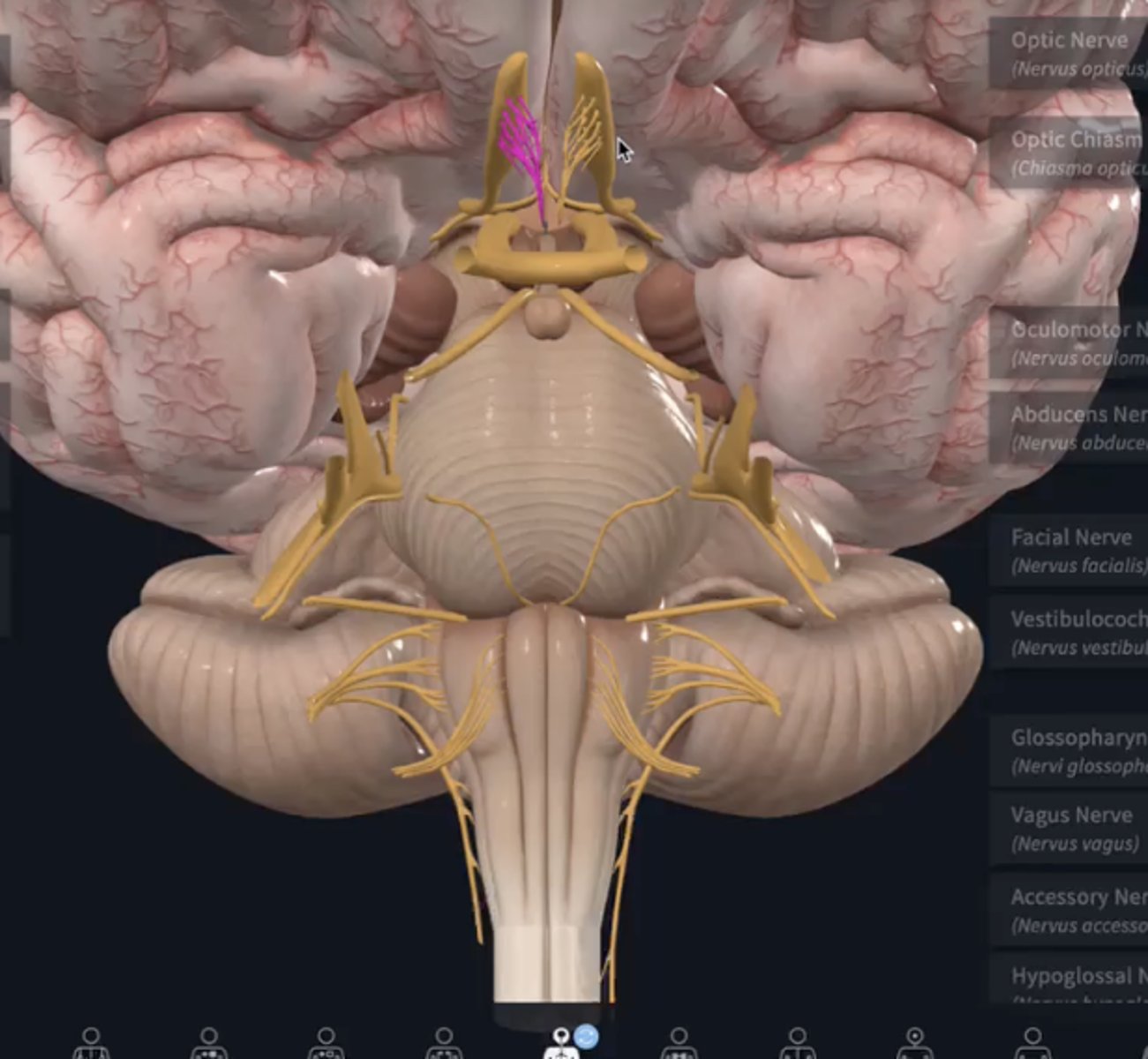 knowt flashcard image
