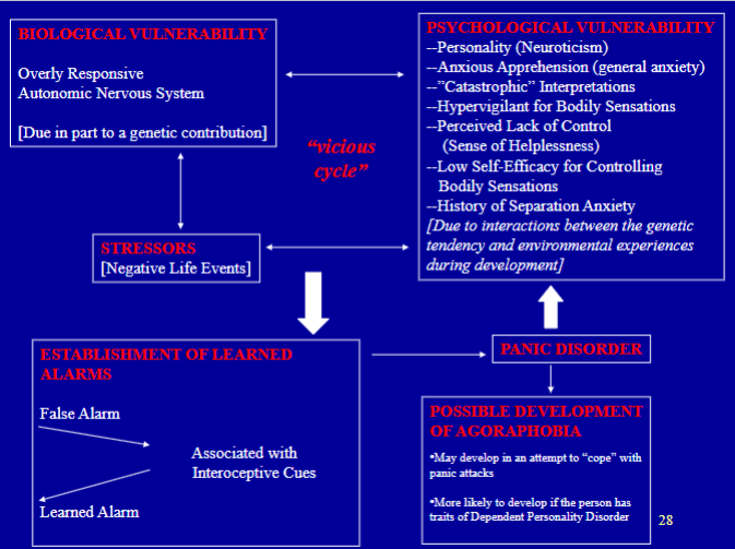 <p>what are the types of panic attacks?</p>