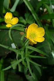 <p>Mis on pildil?</p>