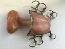<p>What speech appliance is this?</p>
