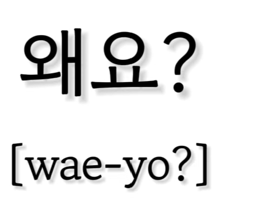 <p>왜요?</p>