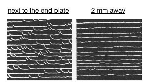 <p><span style="font-family: "Helvetica Light";">&nbsp;- when Katz moved the electrode away from the endplate, the </span><span>mEPPs</span><span style="font-family: "Helvetica Light";"> became smaller and eventually disappeared—mEPPs seemed to be coming from the motor endplate.</span></p>