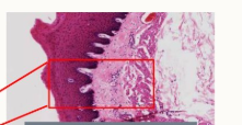 <p>What is this red box?</p>
