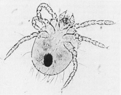 <p>Identify </p>