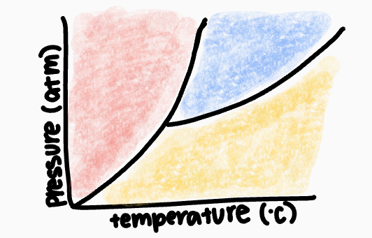 <p>What phase occurs in the red zone?</p>
