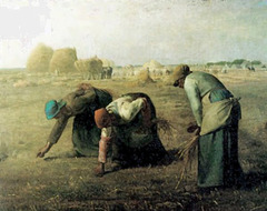<p>(v) gather, collect --- lượm lặt</p>