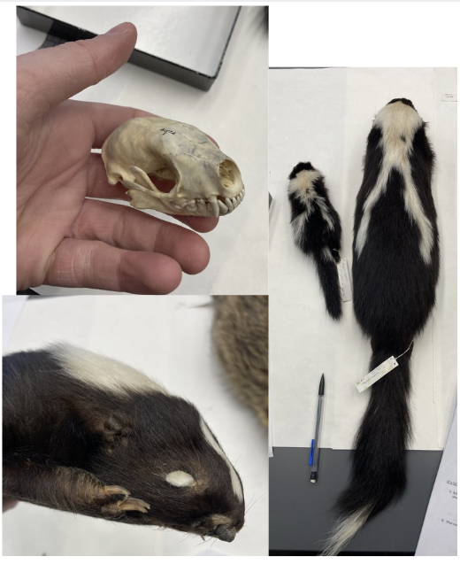 <p>What is this?</p>