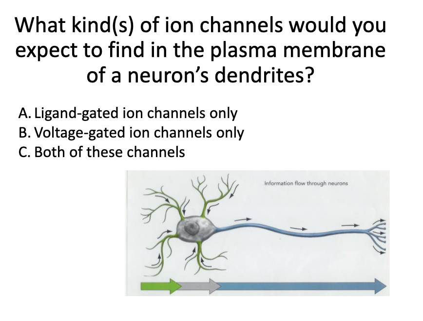 <p>Question</p>