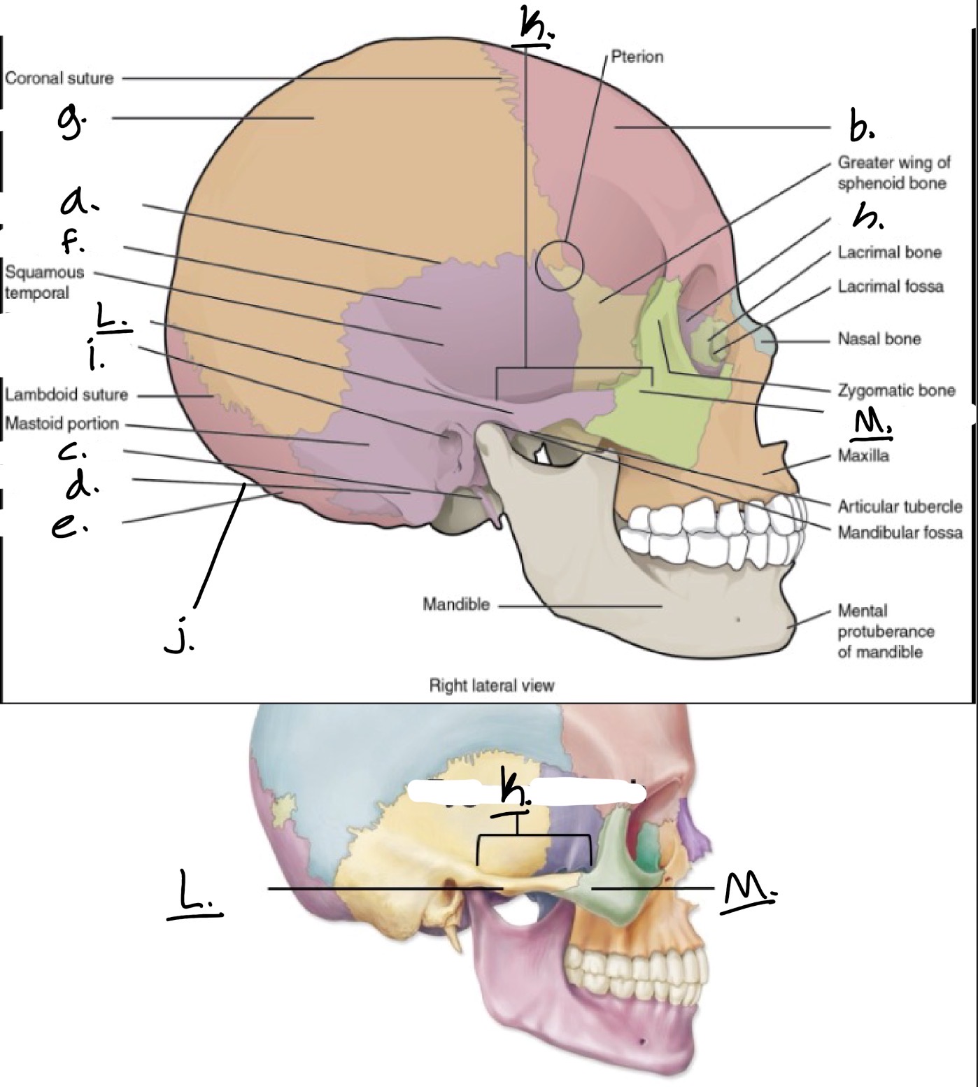 <p>b.</p>