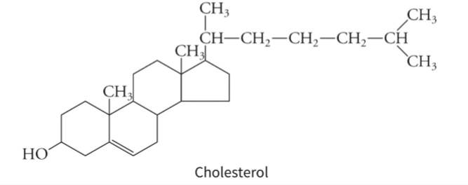 <p>One of the most important lipids in human health is cholesterol. </p><p>Cholesterol <strong>makes hormones, vitamin D, and helps digest food</strong>. Cholesterol is the main sterol found in animals, while plants usually contain different sterols (called phytosterols). </p><p>Lipids are building blocks of membranes. </p>