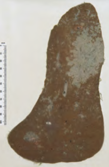 <p>Identify the POT</p>