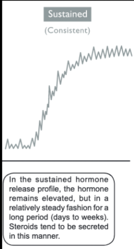 <p>hormone level remains elevated</p><ul><li><p>relatively steady, stable fasion for long period of time (days, weeks)</p></li><li><p>Steroids (think progesterone during pregnancy)</p></li><li><p>“consistent”</p></li></ul><p></p>