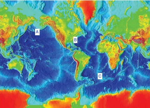 <p><span>State the type of plate boundary (trench, mid-ocean ridge,</span><br><span>no plate boundary) for locations A, B, and C on the map</span></p>