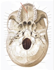 knowt flashcard image