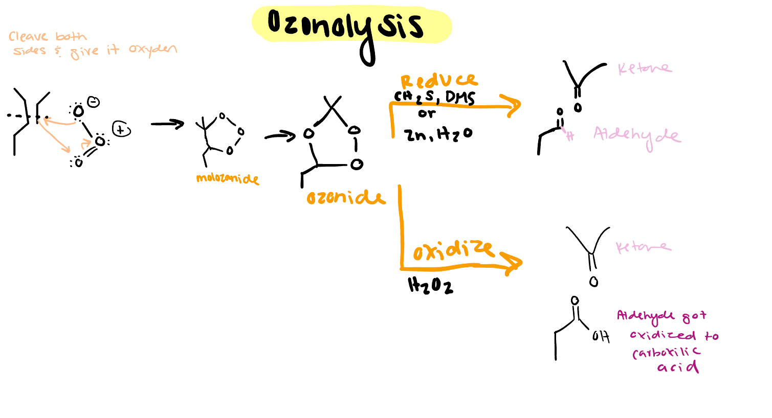 <p>if reduction (CH2s, DMS, Zn, H2O). Then a ketone (double bond O) and an aldehyde (double bond O with H attached) will be added </p><p></p><p>if oxidation (H2O2), then a ketone and carboxylic acid will be added </p>