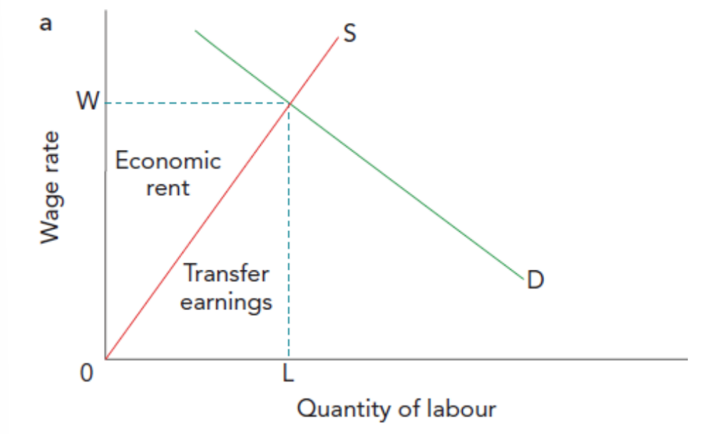 <p>Transfer earnings are indicated by the area under the labour supply curve up to the equilibrium; economic rent is the area above the labour supply curve and below the wage rate.</p>