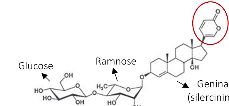 <ul><li><p>nome</p></li><li><p>nome da genina </p></li></ul><p></p>