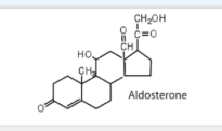 <p>What does aldoesterone do?</p>