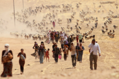 <p>refugee</p>