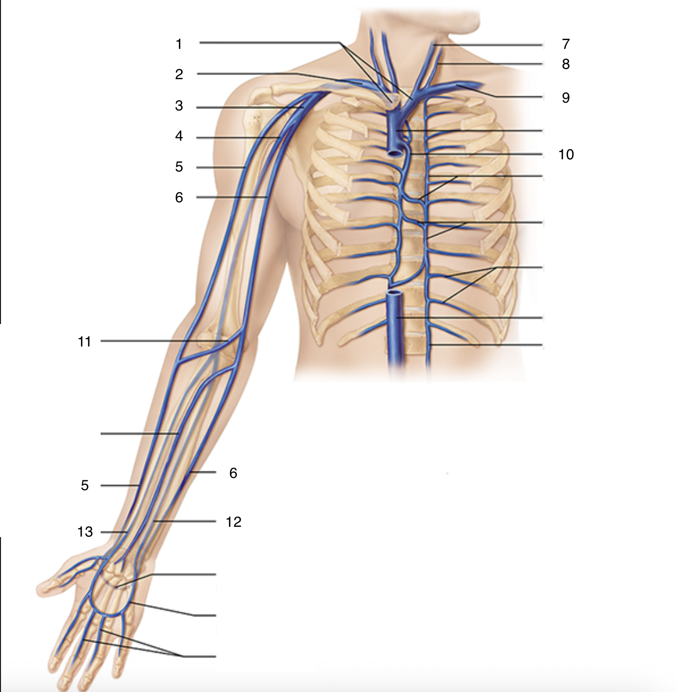 <p>10</p>