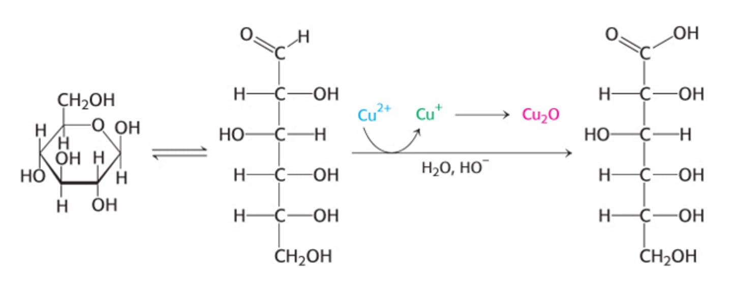 <p>e) include all monosaccharides that can access their linear structures in solution</p>
