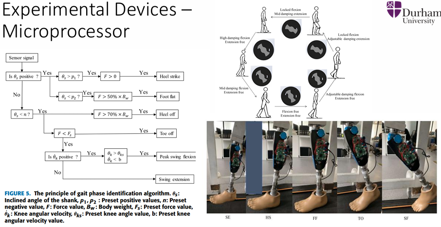 <p>Microprocessor-controlled knees provide the amputee with more stability on all kinds of terrains, slopes and steps (Joint design with an electrically controlled hydraulic damper, Therefore, in flexion the damper will contract and thus the piston will be driven downwardly in the cylinder by body load. In extension, the damper lengthens and the piston is pulled upwardly by body action)</p>