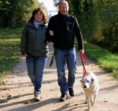 <p>to go for a walk; to go for a stroll; to promenade; go for a walk; go for a stroll; promenade</p>