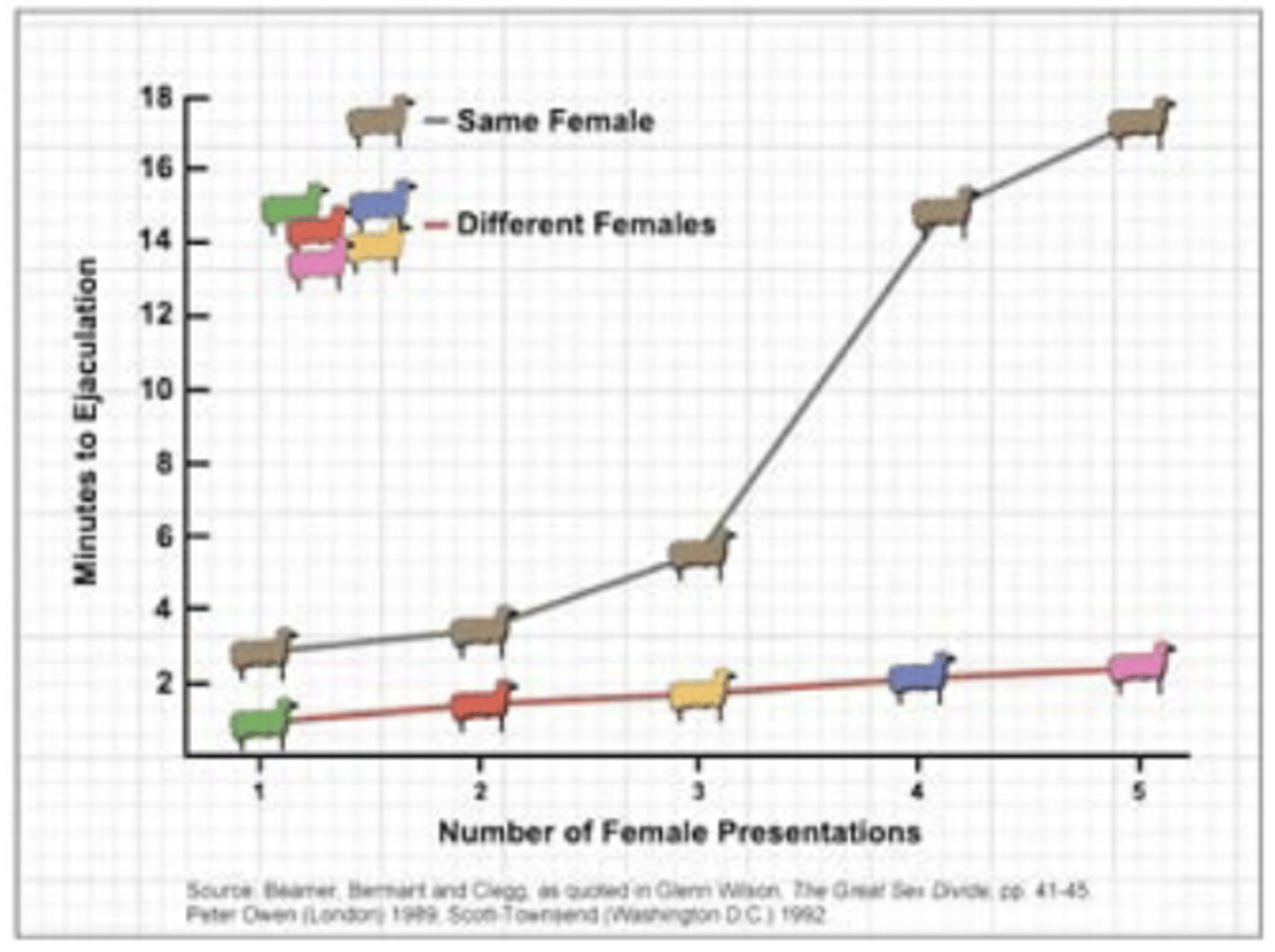 <p>- copulating males who become incapable of continuing to copulate with one sex partner can often recommence</p>