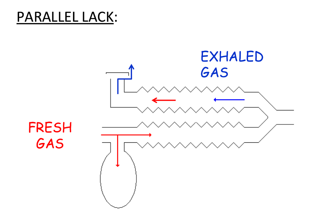 <p>Parallel Lack</p><ul><li><p>More bulky but probably safer</p><p>• More widely used</p></li></ul><p></p>