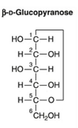 <p>Linear structure configuration</p>