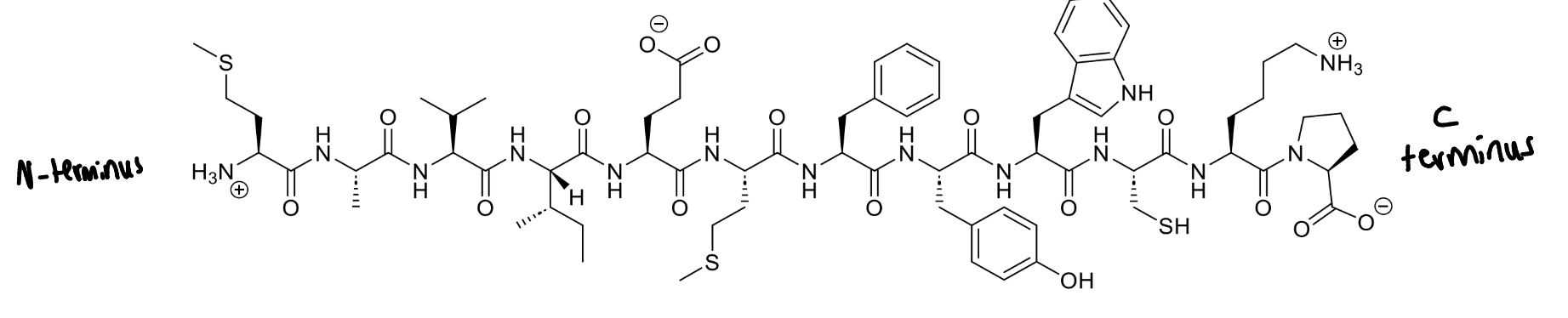 <p>based on the charges on the peptide, what is the pH of the solution?</p>