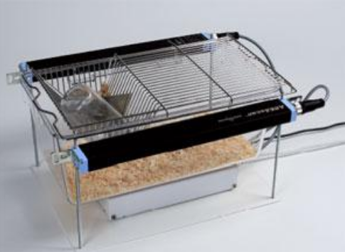 <p><span style="background-color: transparent;">Movement, Motionless Activity (including tremor), Immobility<strong> </strong>ability to quantify all 3 parameters</span></p>