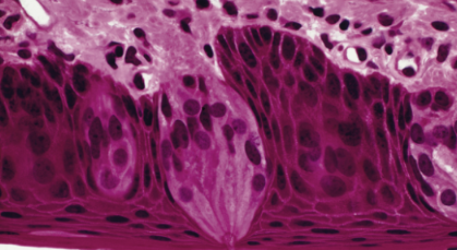 <p>what is this?</p>