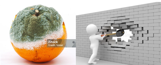 <p>Food decreases absorption - except for amoxicillin.</p>