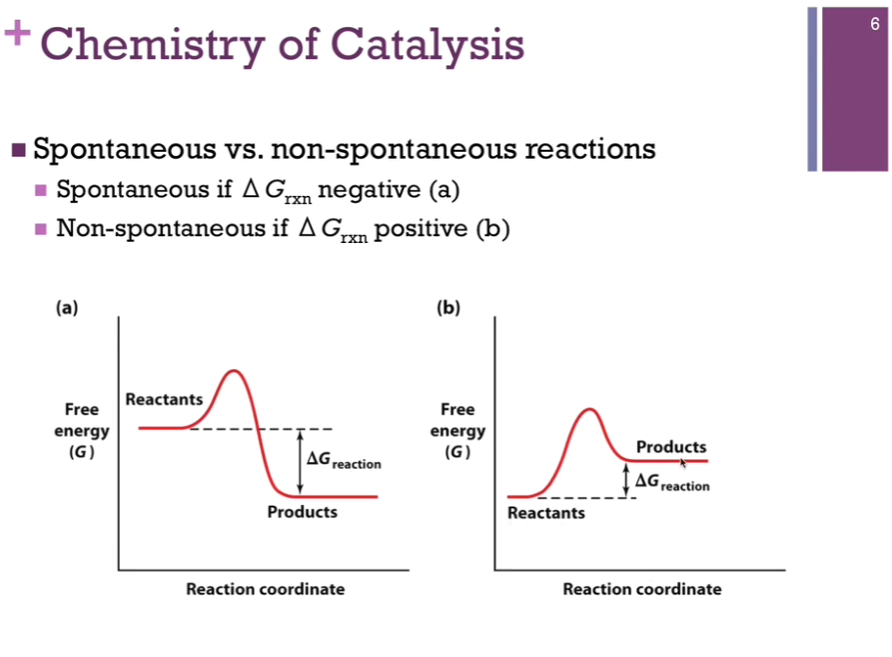 <p>If products on free energy versus reaction coordinate is lower that reactants, deltaG = negative, reaction is spontaneous! Release [free] energy. </p><p>When deltaG = positive, need to input [free] energy to make that reaction happen. </p><p>Reminder of schematics is on the left!</p>