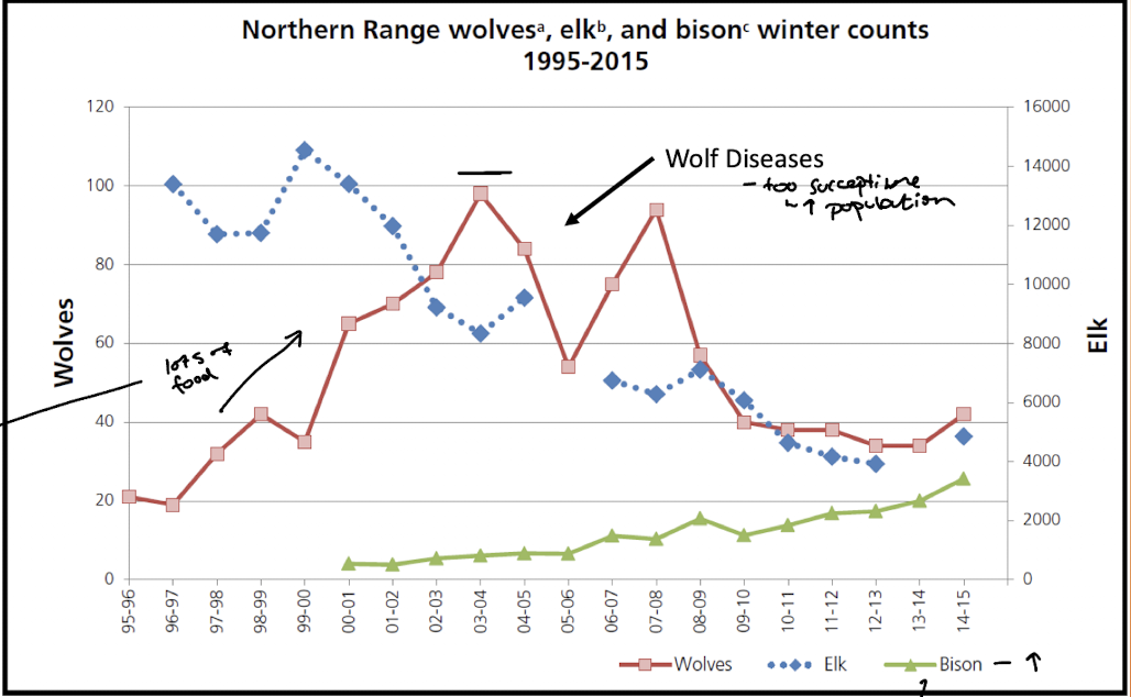 <p>phase 1 is exponential, unlimited growth - intrinsic rate of increase (r), abundant food, no disease, no predators, no density dependence </p><p>2 is transitional growth, limiting factors begin to decline the above growth, density dependence increases</p><p>phase 3 is the plateau or carrying capacity (K), no growth bc limited factors (these factors lower or raise K, dynamic)</p>