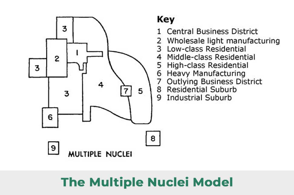 <p>Model suggesting cities develop around multiple centers/CBDs.</p>