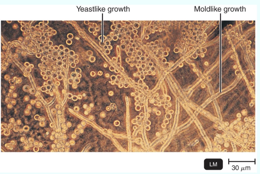 <p>What is this showing?</p>