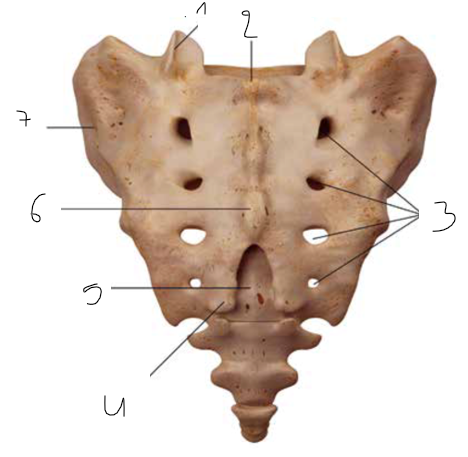 <p>6</p>