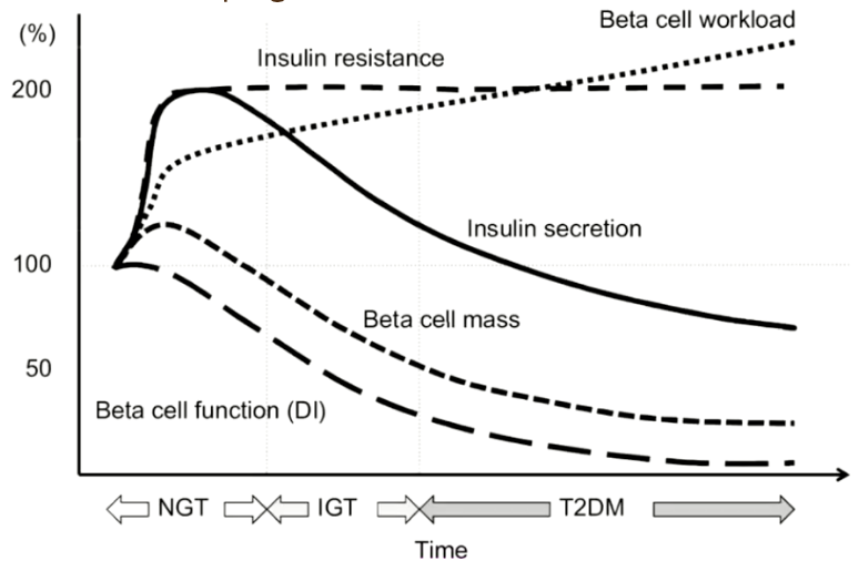 <p>Changes During Development of T2 Diabetes</p>