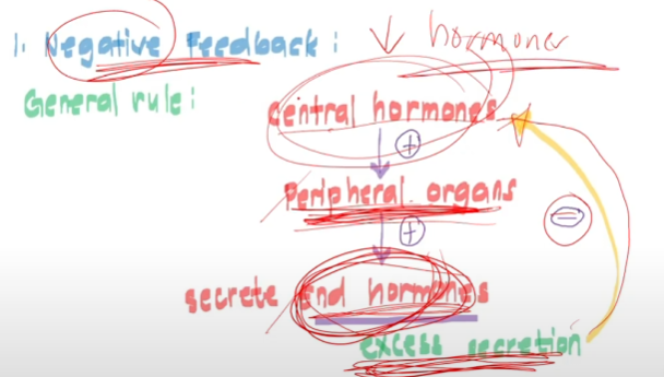 <p>Blurt how negative feedback works.</p>