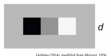 <p>why does d not look transparent? </p>